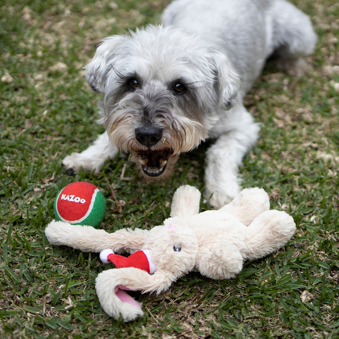 Christmas Bunny Fluffy Dog Toy