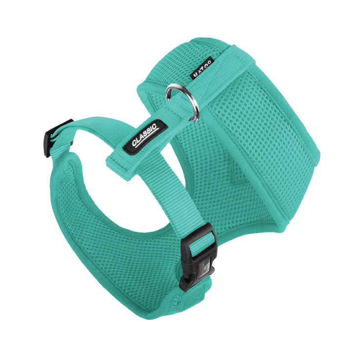 Classic Soft Walking Harness - Mint - Kazoo Pet Co