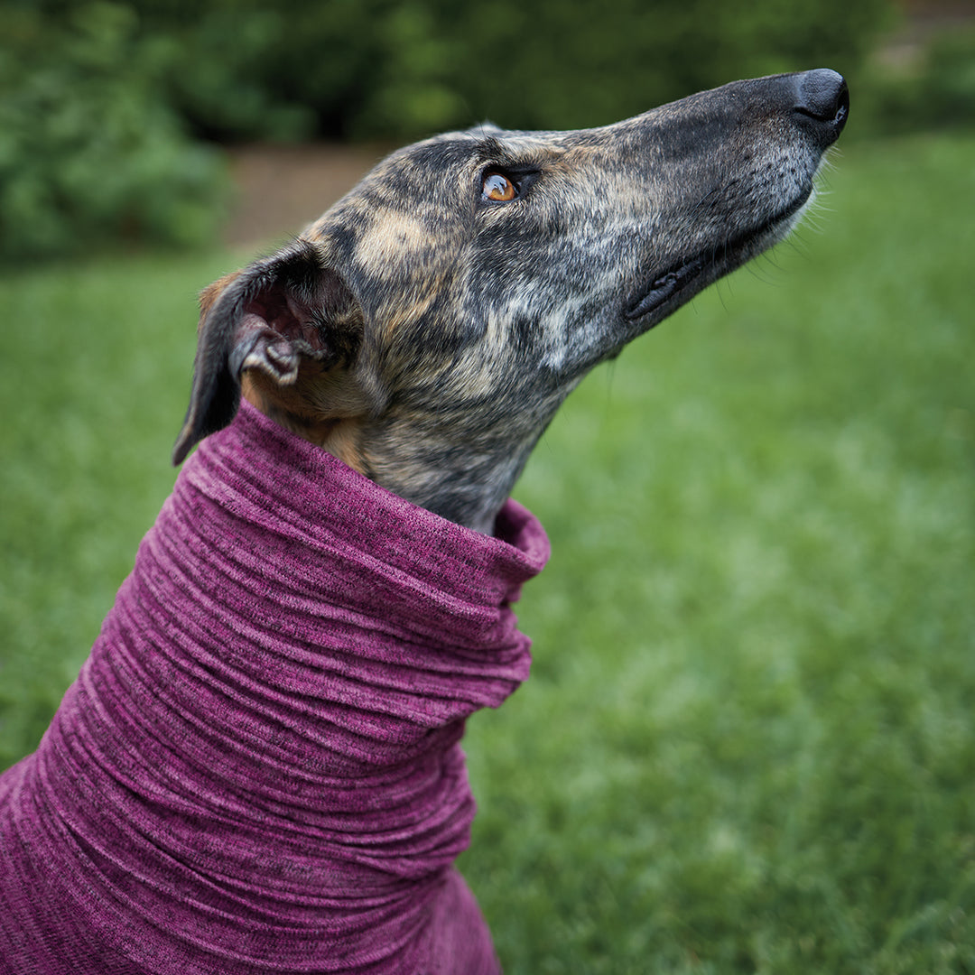 Greyhound Softie Jumper - Mulberry