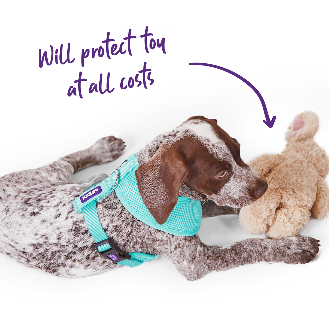 Classic Soft Walking Harness - Mint - Kazoo Pet Co