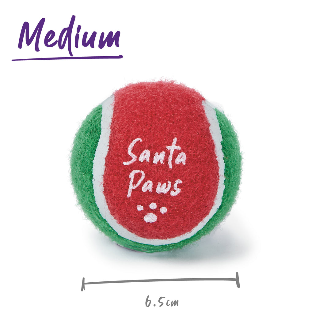 Santa Paws Bounce Dog Ball