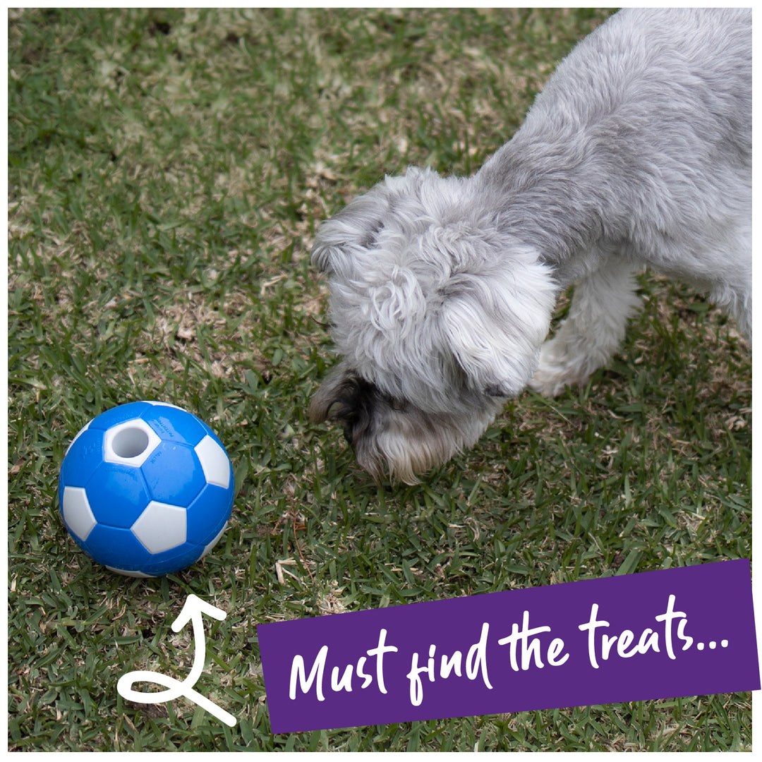 Soccer Treat Ball - Kazoo Pet Co