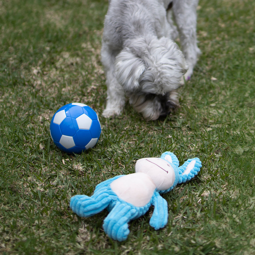 Soccer Treat Ball - Kazoo Pet Co