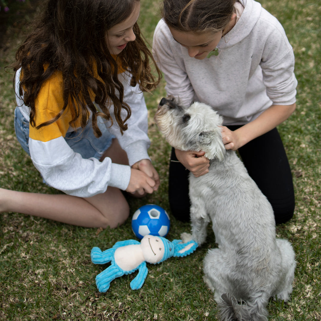 Soccer Treat Ball - Kazoo Pet Co